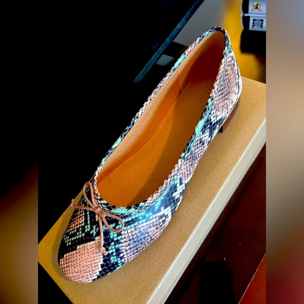 Madewell snakeskin ballet flats